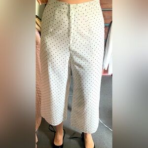 polka dot pants cropped wide leg